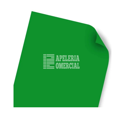 CARTULINA EUROIRIS 50 X 65 C. VERDE